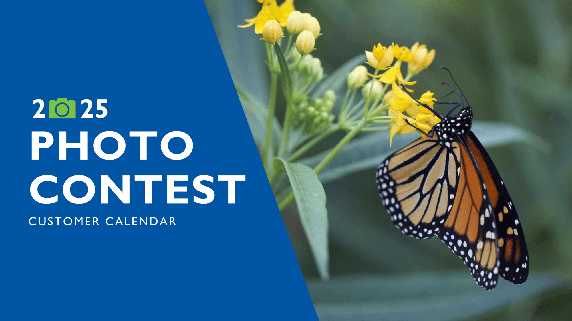 ImOn Calendar Photo Contest Entry